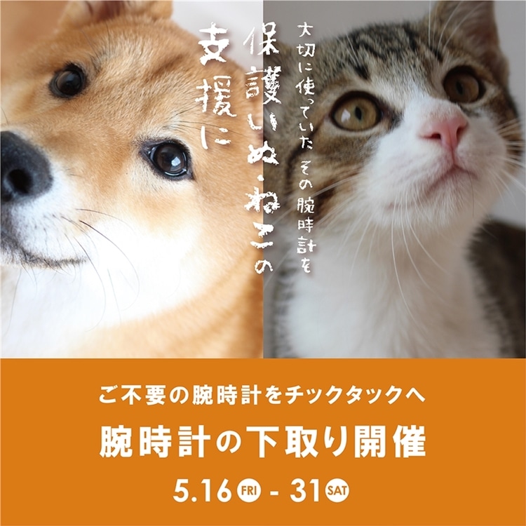 【松山店】5月31日まで腕時計下取りキャンペーン開催中!!