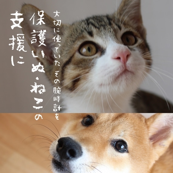 【腕時計下取りキャンペーン!】『大事に使ってた腕時計を保護いぬ・ねこの支援に』