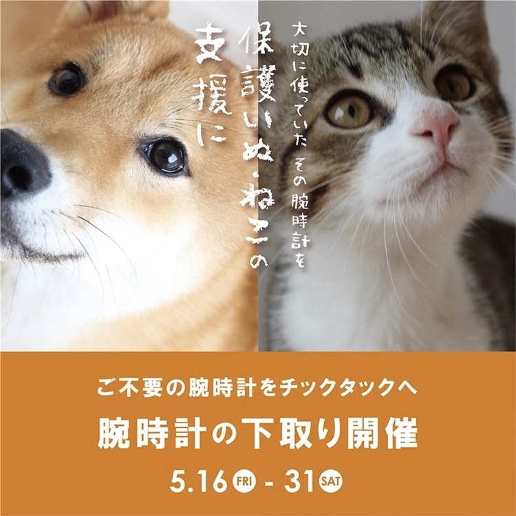 【アミュ鹿児島店】《予告》2025年5/16(金)~5/31(土)の期間、腕時計下取りキャンペーン開催。