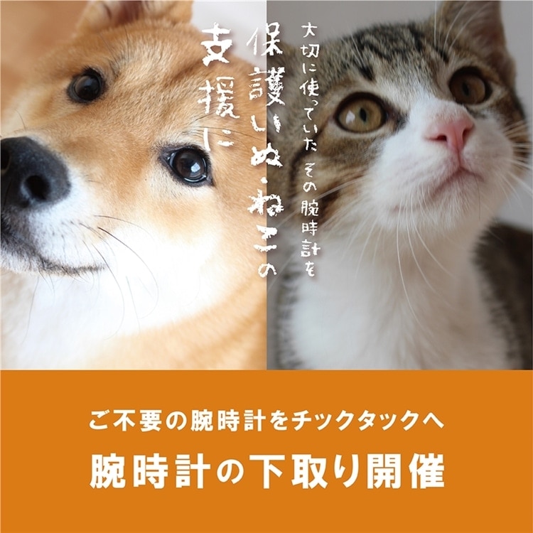 【アミュ鹿児島店】10/16(金)〜10/31(土) 腕時計下取りキャンペーン開催！保護いぬ・ねこの支援に。