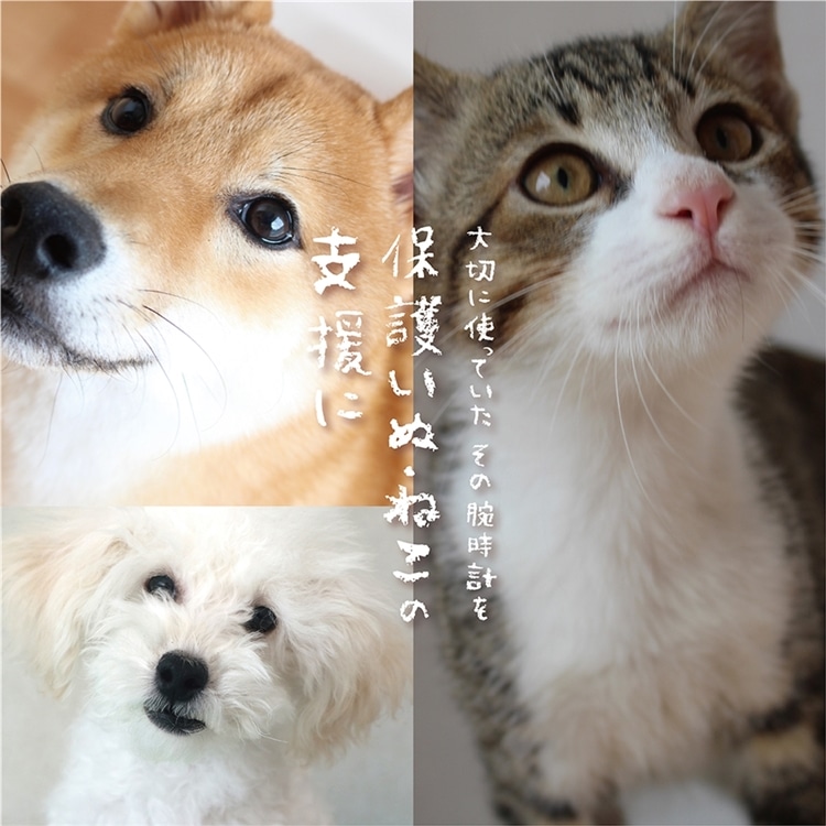 【立川店】6/5(金)~腕時計下取りキャンペーン
