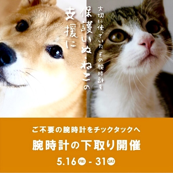 【TiCTACなんばパークス店*information*】今年も、開催致します!