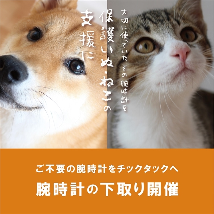 【なんばパークス店】下取りキャンペーン開催中!