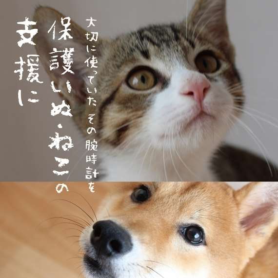 2月20日(火)〜スタート!腕時計下取りキャンペーン!!