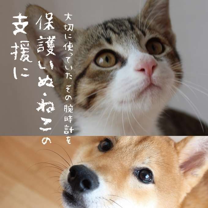 【キャンペーン】下取りキャンペーン絶賛実施中です!