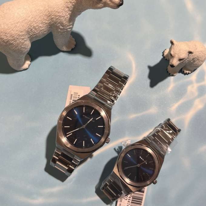 【BERING】新入荷!