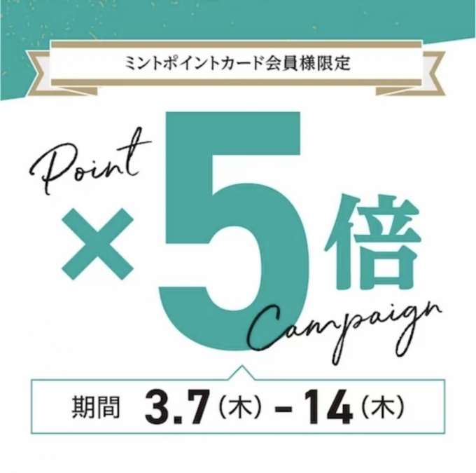 【ミントポイント5倍】ポイントカード会員限定スペシャルキャンペーン開催中‼︎【TiCTACミント神戸店】