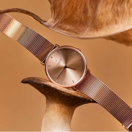 【nordgreen】新作登場!ノベルティキャンペーン開催!