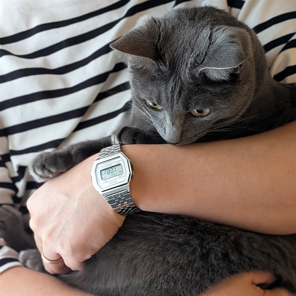 先行販売決定!シャープな佇まいが魅力の【CASIO CLASSIC】